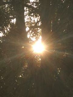 kurzer Lichtblick